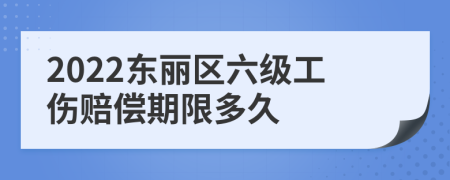 2022东丽区六级工伤赔偿期限多久