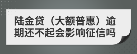 陆金贷（大额普惠）逾期还不起会影响征信吗