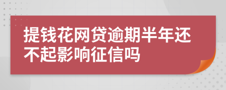 提钱花网贷逾期半年还不起影响征信吗