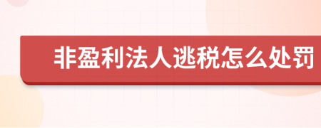 非盈利法人逃税怎么处罚