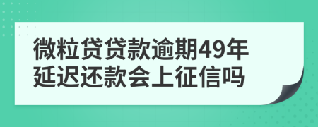 微粒贷贷款逾期49年延迟还款会上征信吗