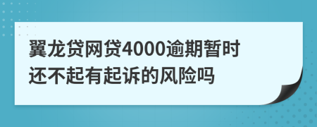 翼龙贷网贷4000逾期暂时还不起有起诉的风险吗