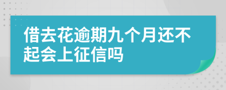 借去花逾期九个月还不起会上征信吗