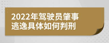 2022年驾驶员肇事逃逸具体如何判刑