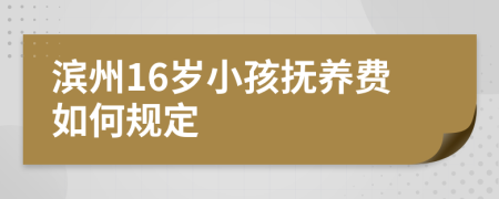 滨州16岁小孩抚养费如何规定