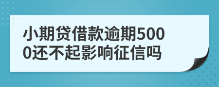 小期贷借款逾期5000还不起影响征信吗