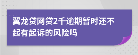 翼龙贷网贷2千逾期暂时还不起有起诉的风险吗