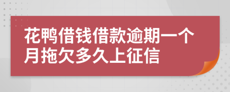 花鸭借钱借款逾期一个月拖欠多久上征信