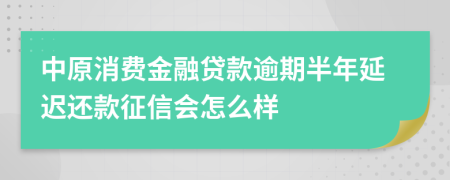 中原消费金融贷款逾期半年延迟还款征信会怎么样