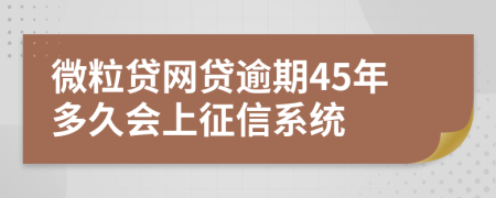 微粒贷网贷逾期45年多久会上征信系统