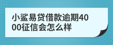 小鲨易贷借款逾期4000征信会怎么样