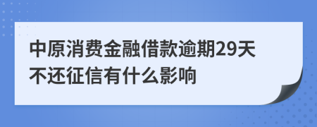 中原消费金融借款逾期29天不还征信有什么影响