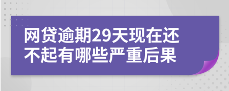 网贷逾期29天现在还不起有哪些严重后果