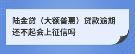 陆金贷（大额普惠）贷款逾期还不起会上征信吗