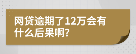 网贷逾期了12万会有什么后果啊？