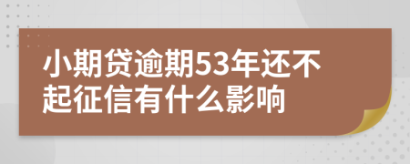 小期贷逾期53年还不起征信有什么影响