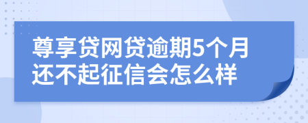 尊享贷网贷逾期5个月还不起征信会怎么样