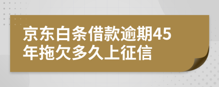 京东白条借款逾期45年拖欠多久上征信