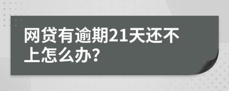 网贷有逾期21天还不上怎么办？