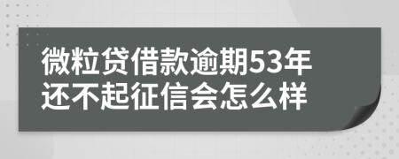 微粒贷借款逾期53年还不起征信会怎么样