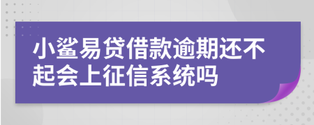 小鲨易贷借款逾期还不起会上征信系统吗