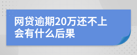 网贷逾期20万还不上会有什么后果