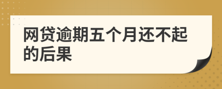 网贷逾期五个月还不起的后果