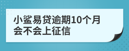 小鲨易贷逾期10个月会不会上征信
