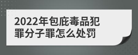 2022年包庇毒品犯罪分子罪怎么处罚