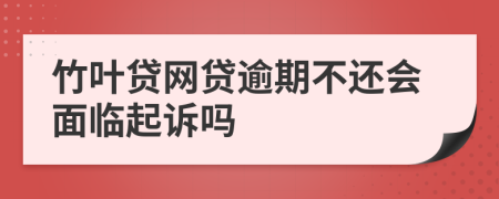 竹叶贷网贷逾期不还会面临起诉吗