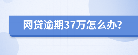网贷逾期37万怎么办？