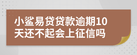 小鲨易贷贷款逾期10天还不起会上征信吗