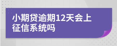 小期贷逾期12天会上征信系统吗