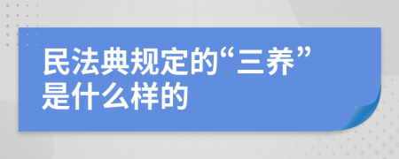 民法典规定的“三养”是什么样的