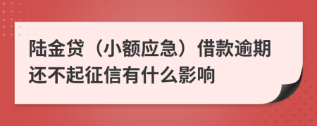 陆金贷（小额应急）借款逾期还不起征信有什么影响