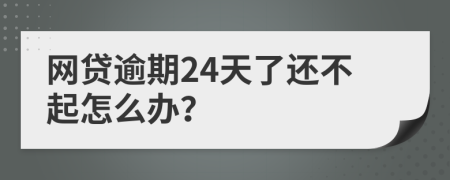 网贷逾期24天了还不起怎么办？