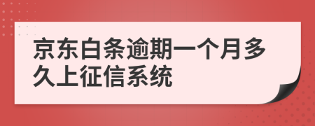 京东白条逾期一个月多久上征信系统