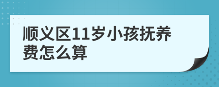 顺义区11岁小孩抚养费怎么算