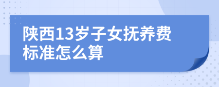 陕西13岁子女抚养费标准怎么算