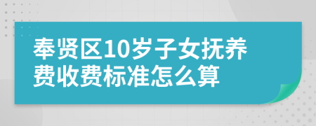 奉贤区10岁子女抚养费收费标准怎么算