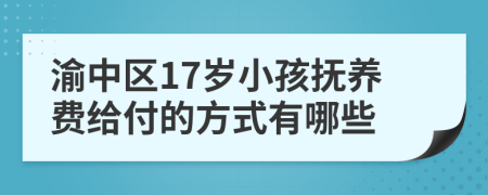 渝中区17岁小孩抚养费给付的方式有哪些