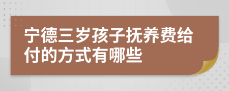 宁德三岁孩子抚养费给付的方式有哪些