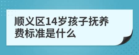 顺义区14岁孩子抚养费标准是什么