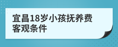 宜昌18岁小孩抚养费客观条件