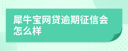 犀牛宝网贷逾期征信会怎么样