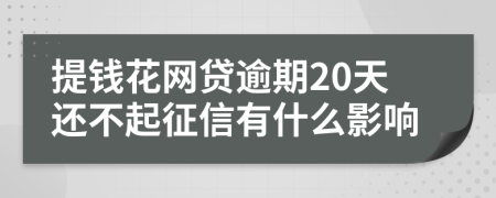 提钱花网贷逾期20天还不起征信有什么影响