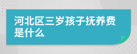 河北区三岁孩子抚养费是什么