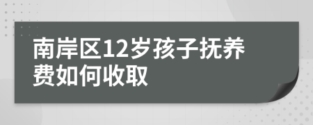 南岸区12岁孩子抚养费如何收取