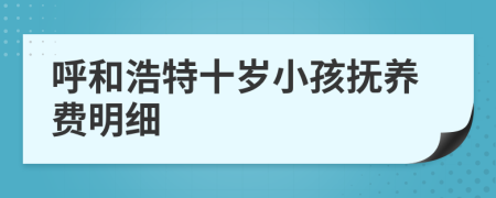 呼和浩特十岁小孩抚养费明细