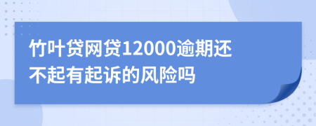 竹叶贷网贷12000逾期还不起有起诉的风险吗